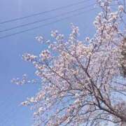 ヒメ日記 2026/04/06 12:01 投稿 チアキ 人妻生レンタル