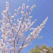 ヒメ日記 2026/04/08 15:50 投稿 チアキ 人妻生レンタル