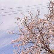 ヒメ日記 2026/04/13 11:50 投稿 チアキ 人妻生レンタル