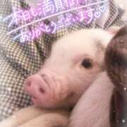 ヒメ日記 2024/12/22 21:42 投稿 ゆあら abc＋