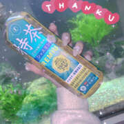 ヒメ日記 2025/04/15 15:06 投稿 ゆあら abc＋