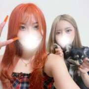 ヒメ日記 2025/11/20 17:17 投稿 あゆみ マリン池袋北口駅前店