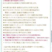 ヒメ日記 2025/03/15 17:29 投稿 ましろ★S級完未！坂道研究生★ Chloe鶯谷・上野店 S級素人清楚系デリヘル