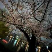 ヒメ日記 2025/04/11 04:47 投稿 ましろ★S級完未！坂道研究生★ Chloe鶯谷・上野店 S級素人清楚系デリヘル