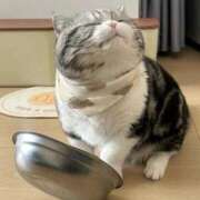 ヒメ日記 2025/06/27 06:09 投稿 ましろ★S級完未！坂道研究生★ Chloe鶯谷・上野店 S級素人清楚系デリヘル