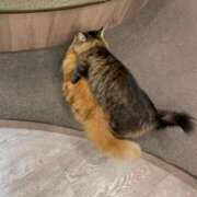 ヒメ日記 2026/03/28 21:15 投稿 ましろ★S級完未！坂道研究生★ Chloe鶯谷・上野店 S級素人清楚系デリヘル