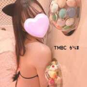 ヒメ日記 2025/04/21 18:21 投稿 かほ 東京メンズボディクリニック TMBC 秋葉原店