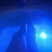 ヒメ日記 2024/12/24 17:51 投稿 かほ 東京メンズボディクリニック TMBC 上野店