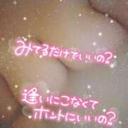 ヒメ日記 2025/02/05 14:20 投稿 あいり チューリップ土浦店