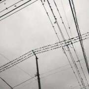 ヒメ日記 2025/09/19 05:58 投稿 あいり チューリップ土浦店