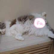 ヒメ日記 2025/10/07 23:04 投稿 あいり チューリップ土浦店