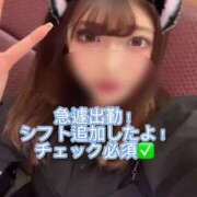 ヒメ日記 2025/01/17 01:26 投稿 星崎このみ 五反田ウルトラファンタジー