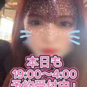 ヒメ日記 2025/02/11 12:08 投稿 星崎このみ 五反田ウルトラファンタジー