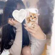 ヒメ日記 2025/04/15 18:02 投稿 リリ 東京エステコレクション 新橋・銀座