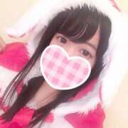 ヒメ日記 2024/12/20 11:30 投稿 ゆうり 石亭