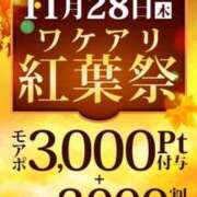 ヒメ日記 2024/11/27 21:17 投稿 関 新宿人妻城