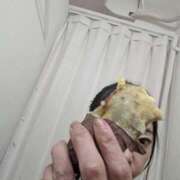 ヒメ日記 2025/06/30 12:25 投稿 のばら 熟女家 梅田店