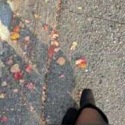 ヒメ日記 2025/11/19 08:57 投稿 のばら 熟女家 梅田店