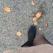 ヒメ日記 2025/11/25 15:57 投稿 のばら 熟女家 梅田店