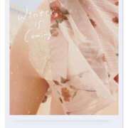 ヒメ日記 2025/03/17 22:02 投稿 広瀬実結(ひろせみゆう) 東京ヒストリー lettre d'amour