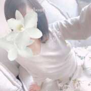 ヒメ日記 2025/03/30 16:22 投稿 広瀬実結(ひろせみゆう) 東京ヒストリー lettre d'amour