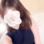 ヒメ日記 2025/04/06 10:52 投稿 広瀬実結(ひろせみゆう) 東京ヒストリー lettre d'amour