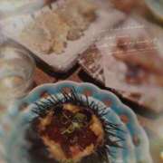 ヒメ日記 2025/07/25 01:12 投稿 広瀬実結(ひろせみゆう) 東京ヒストリー lettre d'amour