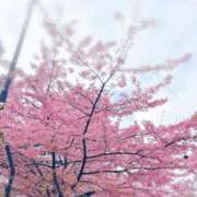 ヒメ日記 2026/03/11 11:32 投稿 広瀬実結(ひろせみゆう) 東京ヒストリー lettre d'amour