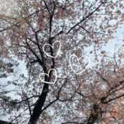 ヒメ日記 2026/04/03 22:32 投稿 広瀬実結(ひろせみゆう) 東京ヒストリー lettre d'amour