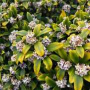 ヒメ日記 2026/04/07 12:32 投稿 広瀬実結(ひろせみゆう) 東京ヒストリー lettre d'amour