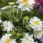 ヒメ日記 2026/09/11 11:42 投稿 広瀬実結(ひろせみゆう) 東京ヒストリー lettre d'amour