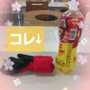 ヒメ日記 2025/03/31 00:16 投稿 右京 熟女の風俗最終章 新横浜店