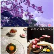 ヒメ日記 2025/03/20 13:15 投稿 くう 奥鉄オクテツ東京店（デリヘル市場）