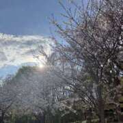 ヒメ日記 2025/04/05 10:35 投稿 くう 奥鉄オクテツ東京店（デリヘル市場）