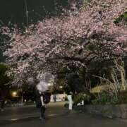 ヒメ日記 2026/02/28 10:40 投稿 くう 奥鉄オクテツ東京店（デリヘル市場）