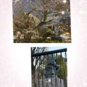 ヒメ日記 2026/03/26 03:00 投稿 くう 奥鉄オクテツ東京店（デリヘル市場）