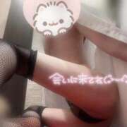 ヒメ日記 2025/06/23 14:31 投稿 れいな ジュエルズ(池袋)