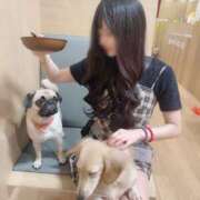 ヒメ日記 2026/01/15 22:15 投稿 ひなた【エロイチャ祭り！】 STELLA NEXT－ステラネクスト－