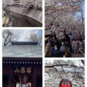 ヒメ日記 2025/04/09 10:22 投稿 れいか 熟女の風俗最終章 新宿店