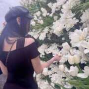 ヒメ日記 2025/05/09 14:02 投稿 エレン Tiara 姫路