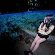 ヒメ日記 2025/05/10 14:31 投稿 エレン Tiara 姫路