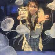 ヒメ日記 2025/12/16 19:10 投稿 みな ニューグランド