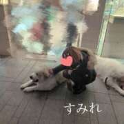 ヒメ日記 2025/01/08 21:14 投稿 すみれ 千葉人妻花壇