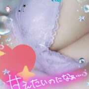 ヒメ日記 2025/04/21 07:31 投稿 すみれ 千葉人妻花壇