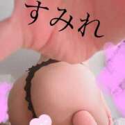 ヒメ日記 2025/05/02 21:13 投稿 すみれ 千葉人妻花壇