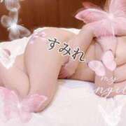 すみれ お礼🍀 千葉人妻花壇