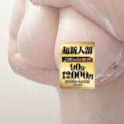 ヒメ日記 2024/12/14 13:45 投稿 月見 BBW錦糸町店