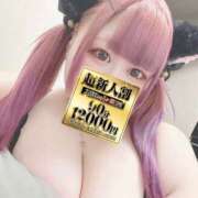 ヒメ日記 2024/12/14 21:03 投稿 月見 BBW錦糸町店