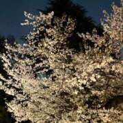 ヒメ日記 2025/04/08 20:18 投稿 月見 BBW錦糸町店