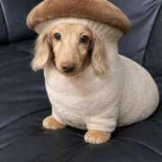 ヒメ日記 2026/01/11 02:15 投稿 月見 BBW錦糸町店